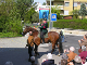 DSCN2442
